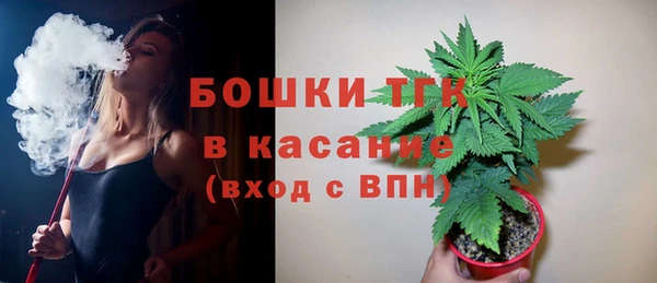 крисы Осташков