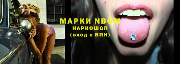 крисы Осташков