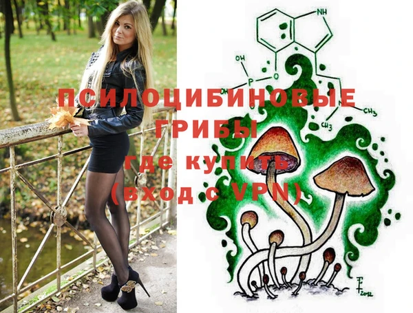 крисы Осташков