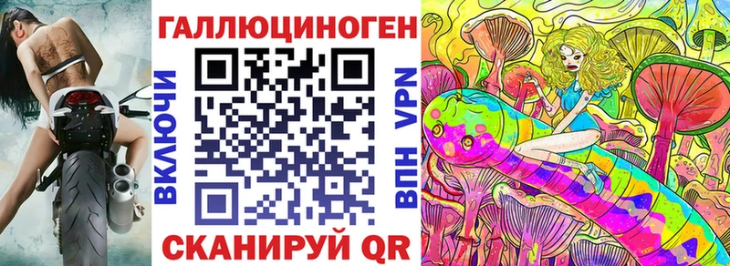 Галлюциногенные грибы Psilocybe  где можно купить   Пучеж 